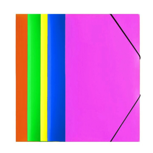 Pack De 10 Chemise Costo à Lamelle A4 Assortis