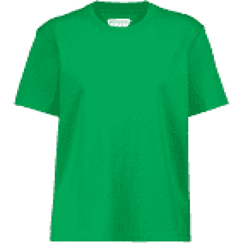 Green T-Shirt
